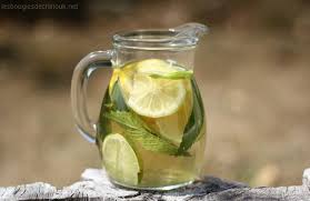 citron menthe 2